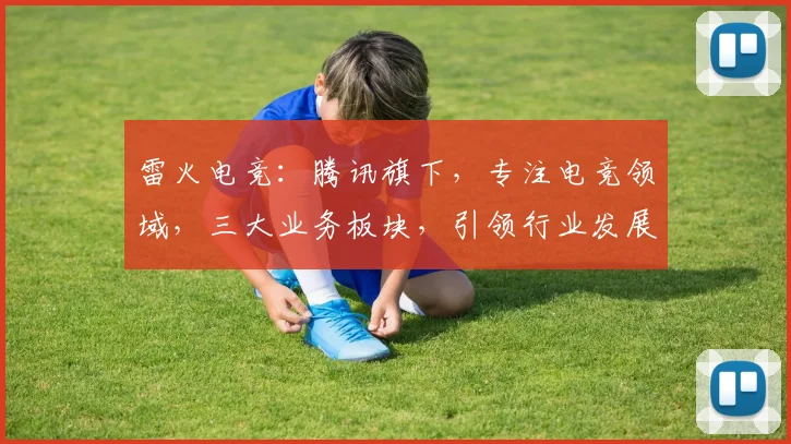雷火电竞:腾讯旗下,专注电竞领域,三大业务板块,引领行业发展,创新不止步。