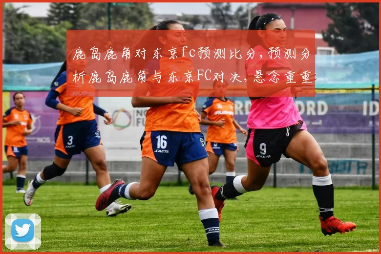鹿岛鹿角对东京fc预测比分,预测分析鹿岛鹿角与东京FC对决,悬念重重